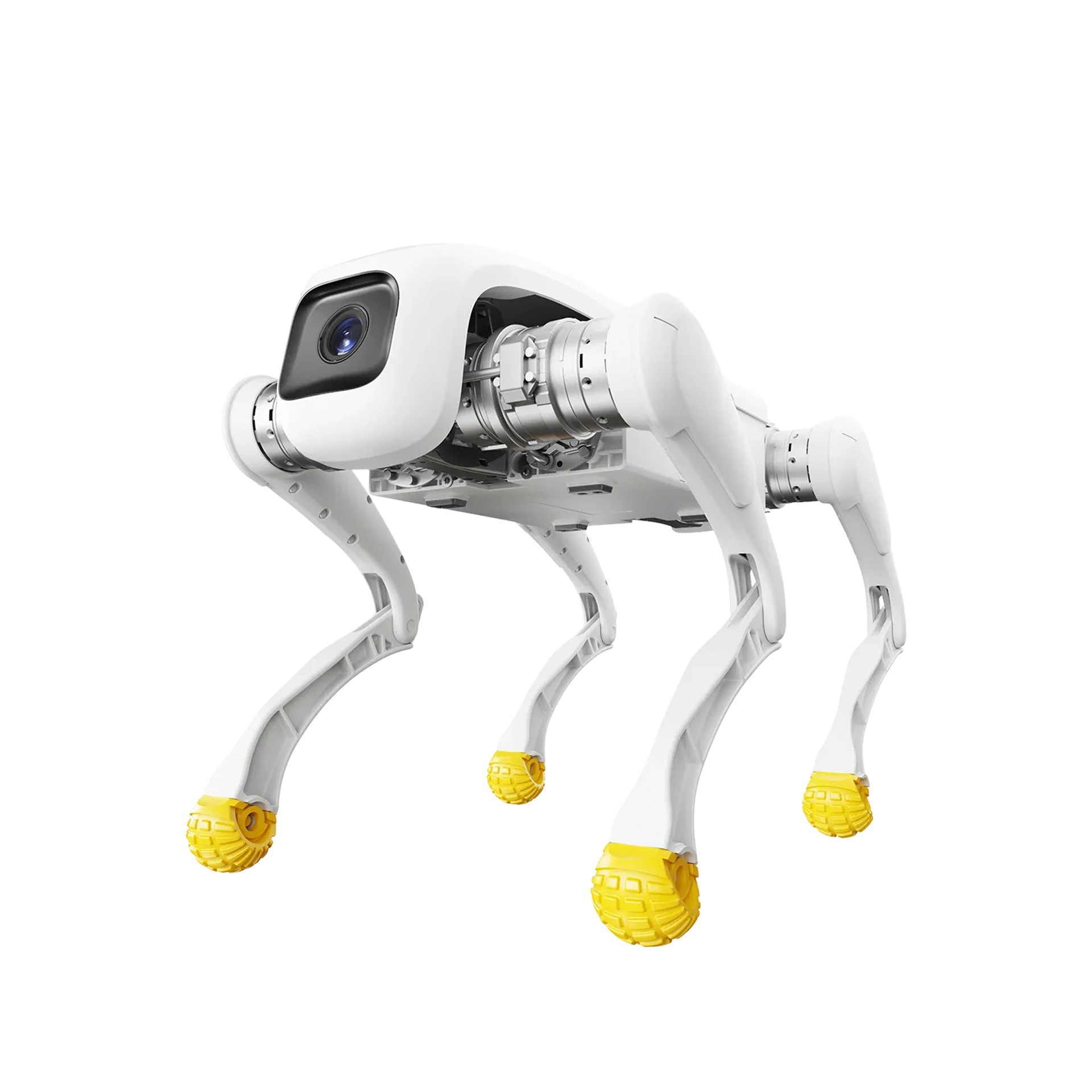 AGIBOT D1 Pro / Edu official manufacturer product image