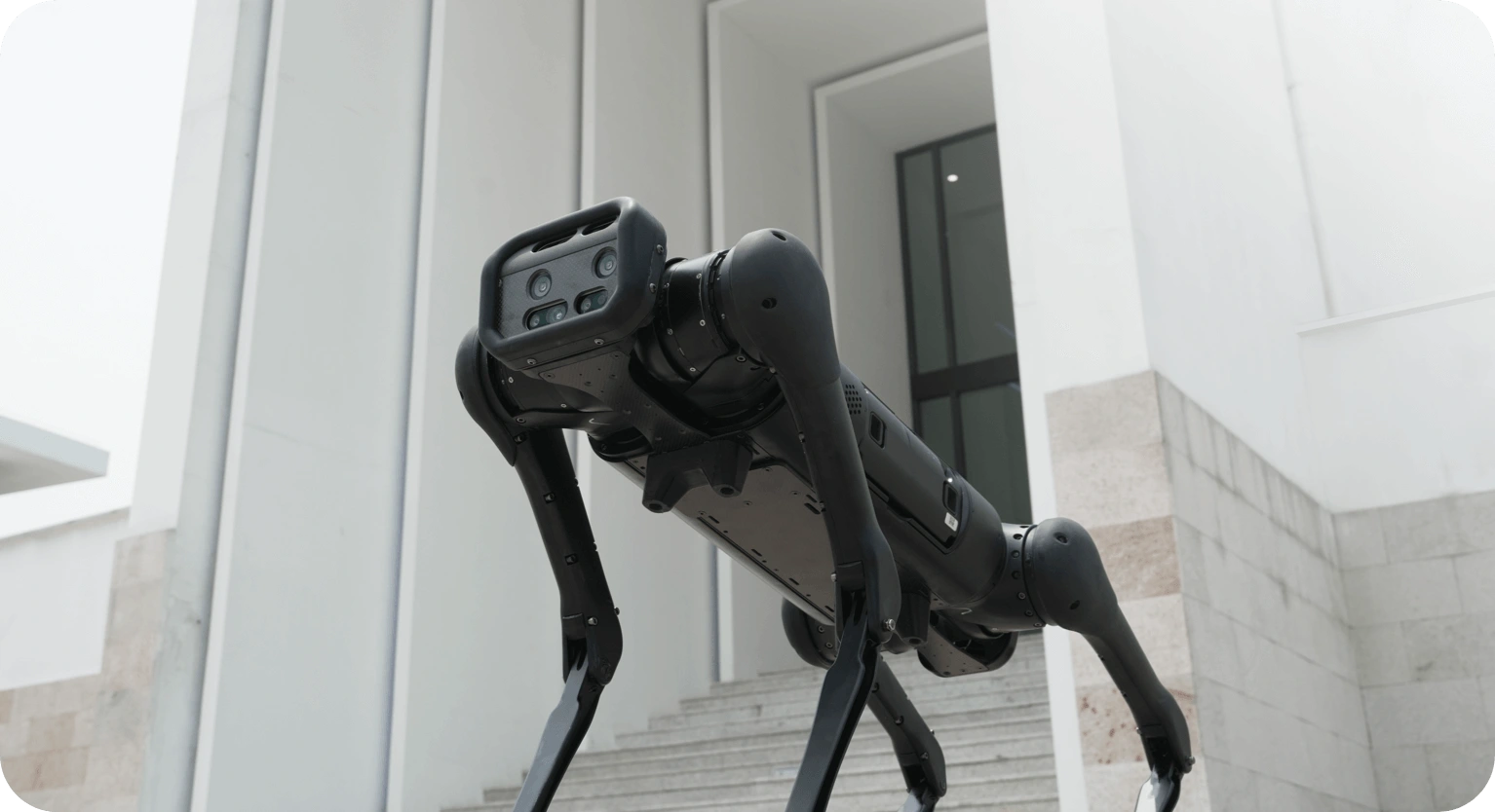Unitree Aliengo official manufacturer product image